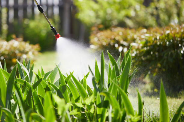 24/7 Emergency Mosquito Control experts in Waverly, MI